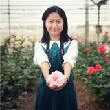 笑容陪你游天下