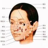 面诊手诊舌诊脉诊