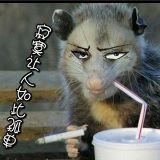 史上最最最搞笑的我