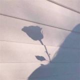 波波爱笑爱生活