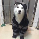 拾起乐趣