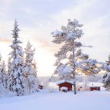 幸福就像牛奶糖