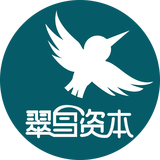 翠鸟资本