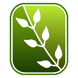 梦园植物墙阳台种菜