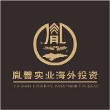 胤善实业海外实业