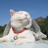 琦多畅聊娱乐事