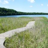 姜鸿博侃侃娱乐