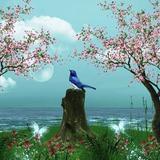 给你故事不给酒