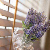 大学城我的时光