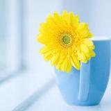 每天学点生活小技巧