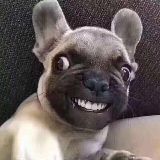 一起找点乐子巴