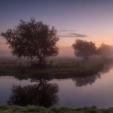 我希望永远陪着你