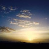 竞争者的垄断梦