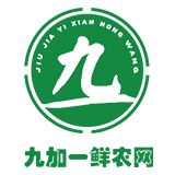 房产小编
