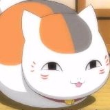 猫咪老师爱游戏