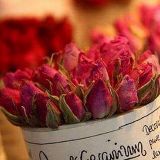 爱情的大小事儿