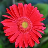 精彩综艺看看看