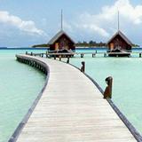 老王娱乐影视圈