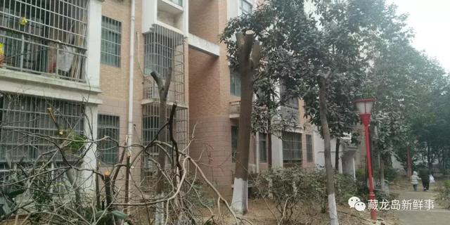 地下车库的停车位能否买卖?江夏藏龙岛一小区