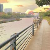 我有个大胆的想法