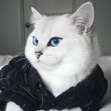 小安与你聊科技