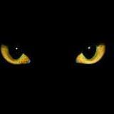 守柔之黑境秘史