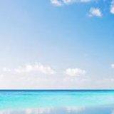 大海请带走我的爱