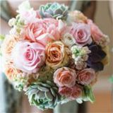 美丽的天涯讲情话