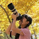 影子之美自游之旅