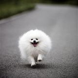 你在那最美的地方