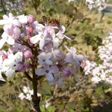 天空没有翅膀的影子