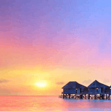 一书一酒走江湖