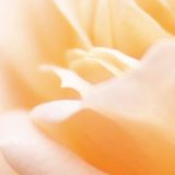 孙梓颖生活小分队