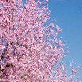 小白鲨娱乐大咖