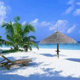 爱生活的小月月