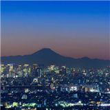 黑白之城同步直播