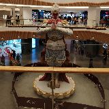 老腊肉鱼乐