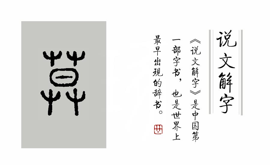 《说文解字》第113课:"曰归曰归,岁亦莫止","莫"是何意?