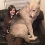 牛结的生活小妙招