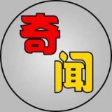 九号奇闻室