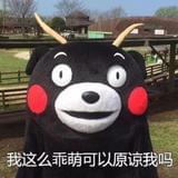 变身娱乐圈新宠