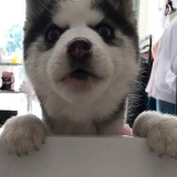 娱乐中的搞笑事