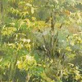 欧阳乐乐侃侃娱乐