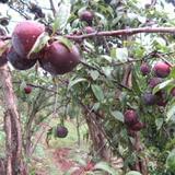 教而知困石老师