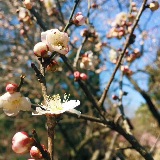 牵着你的手一起走到最后