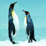 提高情商恋爱学