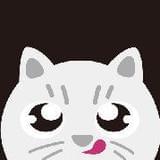 每日一猫