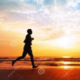 温暖之路小伴侣