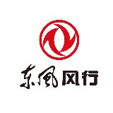 阜阳万事达东风风行