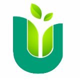 腺肌症保宫小U君